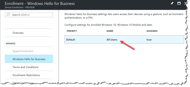 Intune - Windows Hallo - 03