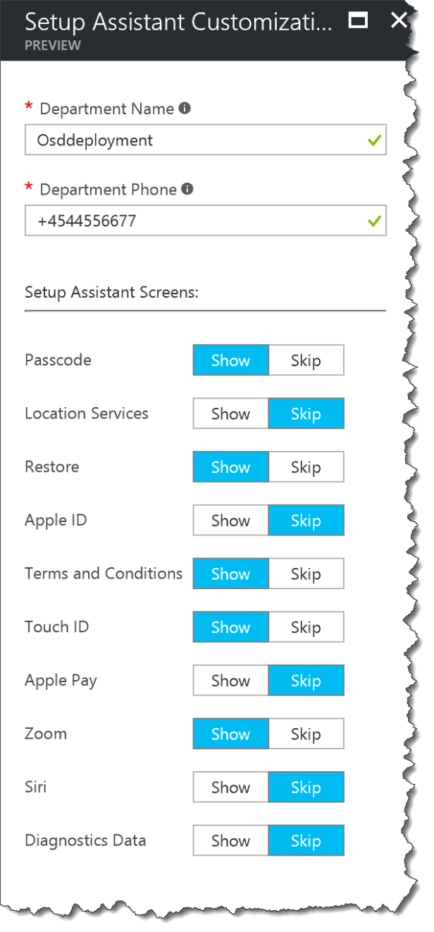 DEP - Setup Assistent Customization